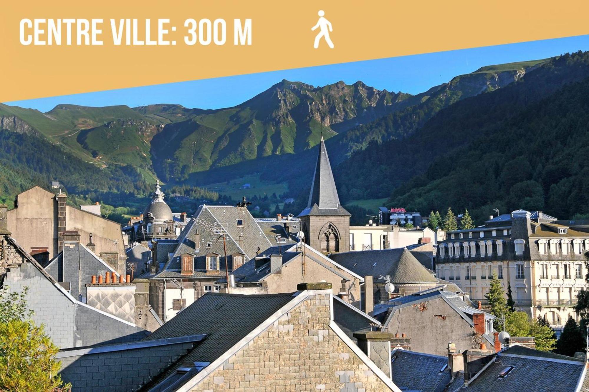 Villa Jean Julien - Les Cascades - Appartement T3 - 2 Chambres - 6 Personnes Le Mont-Dore Εξωτερικό φωτογραφία